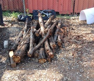 stacks of branches from tree removal project