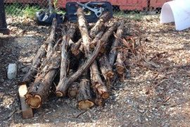tree removal services in Round Rock, TX