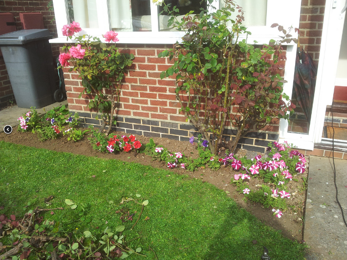 lawn