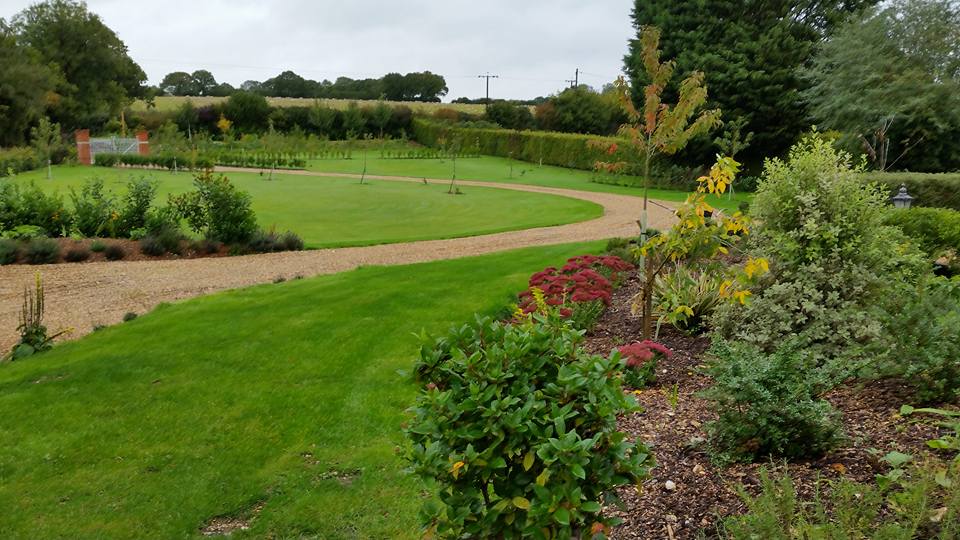 garden plants and flowers