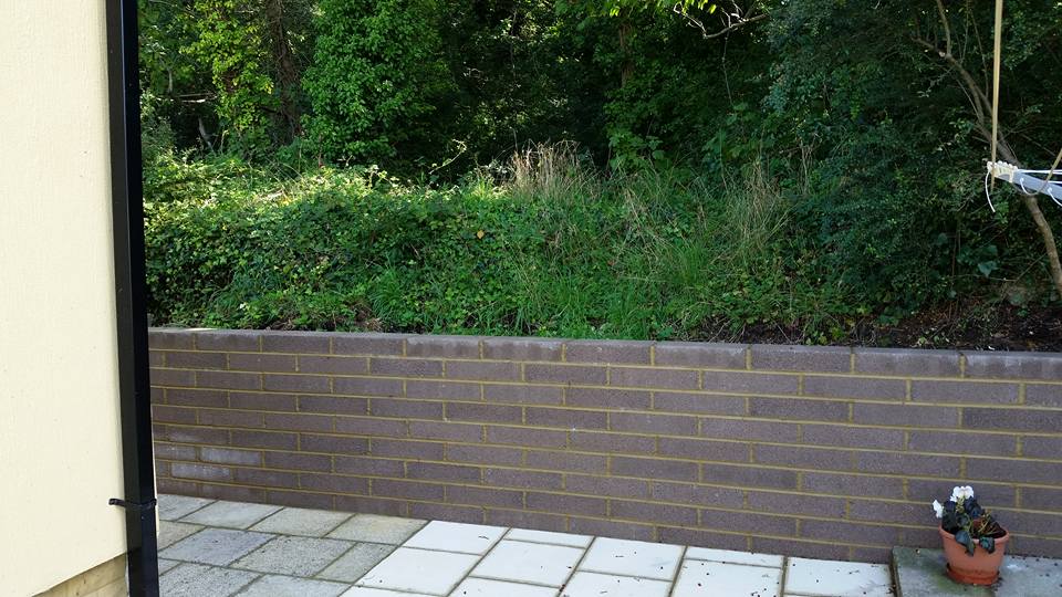 garden area fence