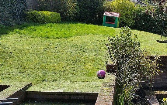 garden after maintenance