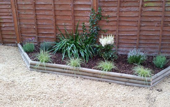 small plants