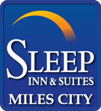OLD Sleep Inn & Suites logo
