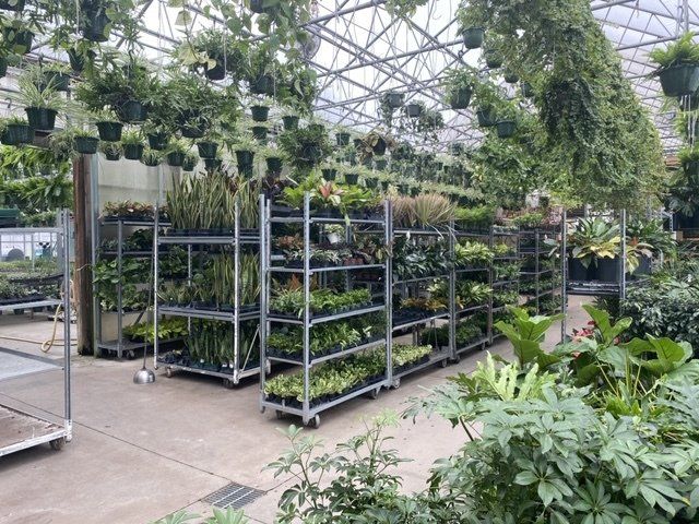 foliage, from 3