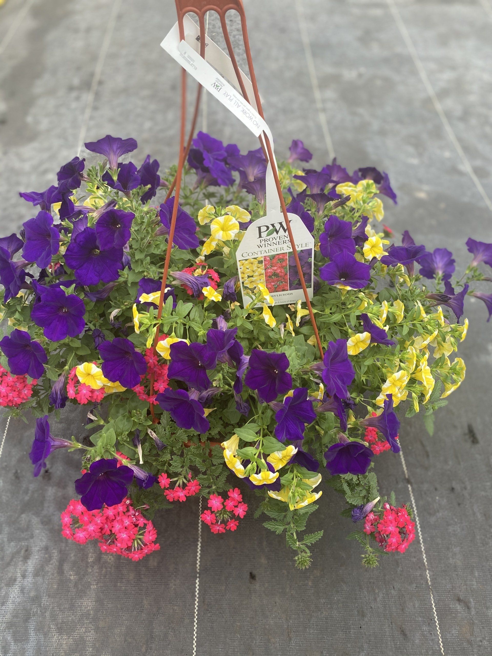 SPRING HANGING BASKETS 10