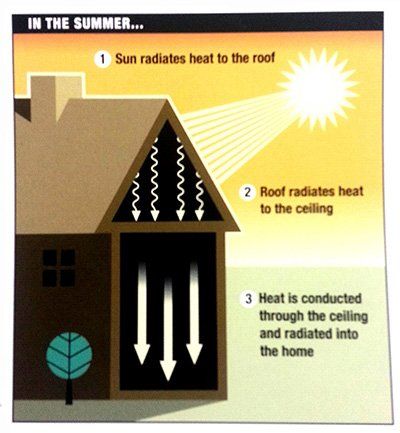 Summer Insulation Cause