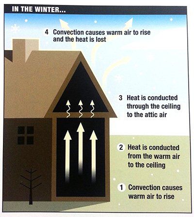 Winter Insulation Cause