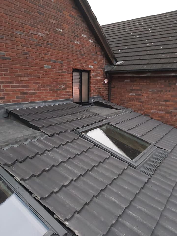 Velux Windows
