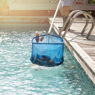 Clean — Cleaner Cleaning Swimming Pool in Riverside, CA Clean — Cleaner Cleaning Swimming Pool in Riverside, CA
