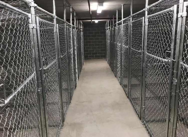 indoor chain link fences