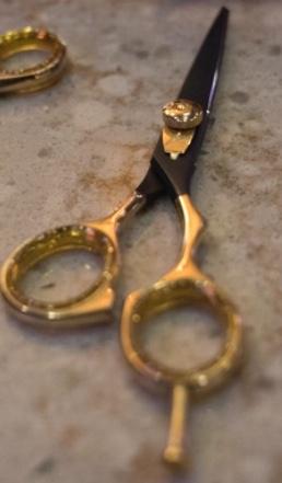 Amber Collection  scissor