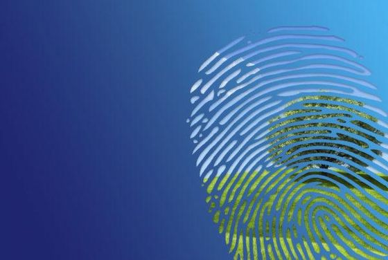 Sfondo sfumato blu con sovrapposizione di un'impronta digitale bianca su una sagoma di albero verdastra.