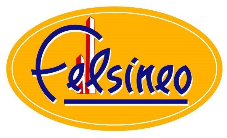 Logo Felsinoe in scritta blu su un ovale arancione con bordo bianco.