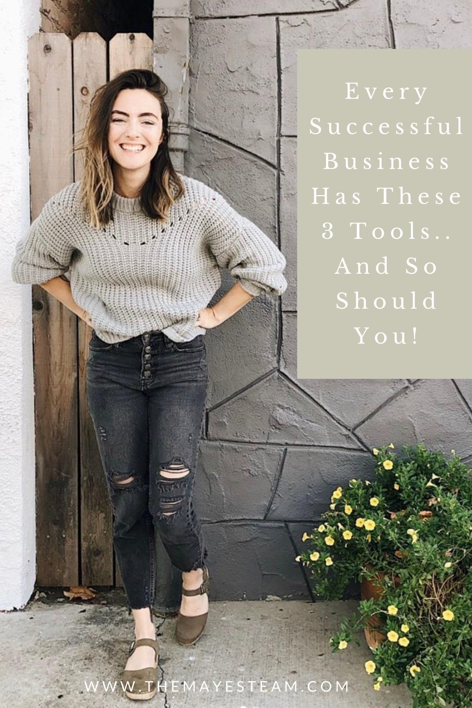 Debbie Mayes smiles about how to grow your online business with us and image overlaid with text that reads Every Successful Business Has These 3 Tools.. And so should you!