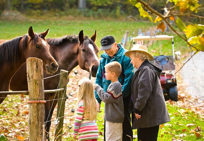 Home Health Care — Grandparents And Grandchildren With Two Horses In Sandy Spring, MD Home Health Care — Grandparents And Grandchildren With Two Horses In Sandy Spring, MD
