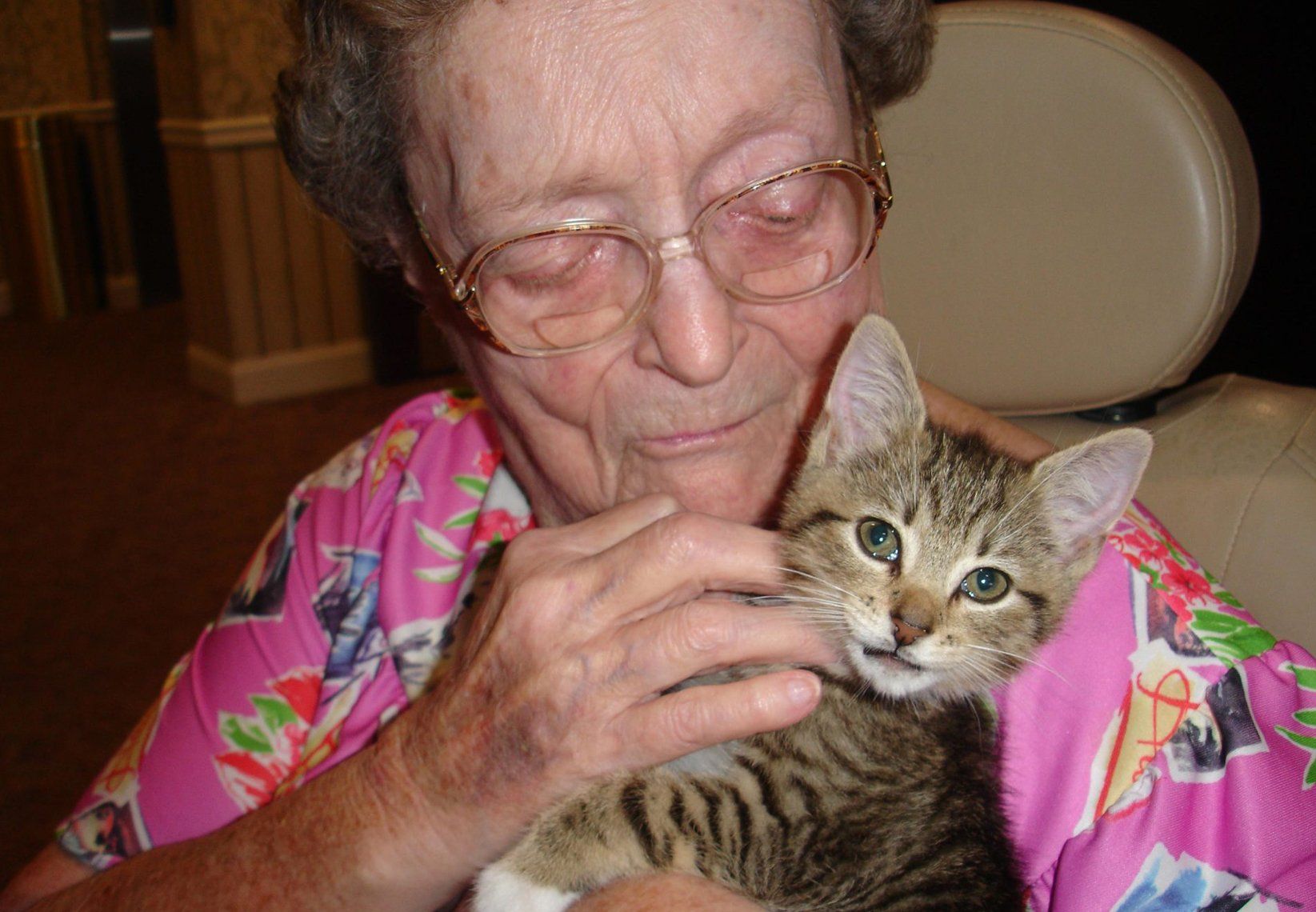 Disabled Care — Old Woman Holding A Cat In Spring, MD Disabled Care — Old Woman Holding A Cat In Spring, MD