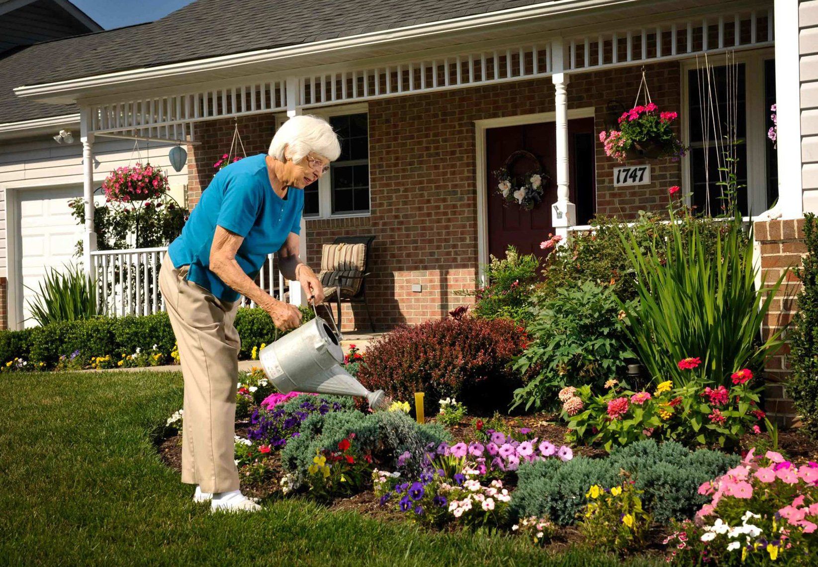 Aging — Old Woman Watering Plants In Spring, MD