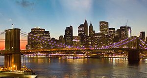 A bridge over a body of water with a city skyline in the background.