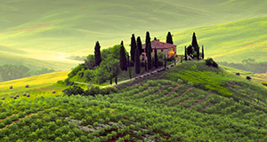 A house is sitting on top of a hill surrounded by trees.