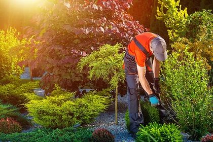 Garden Works - Tree care in Crestview, FL