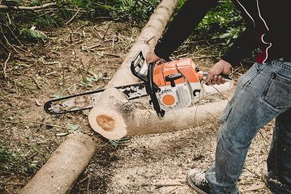 Man Cutting Tree - Tree Removal in Crestview, FL