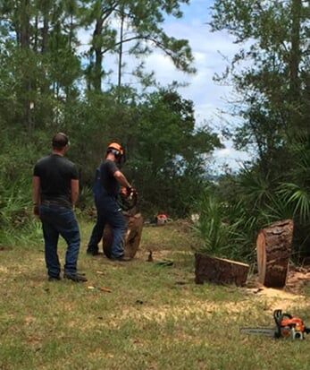 Man cut tree - Tree services in Crestview, FL Man cut tree - Tree services in Crestview, FL