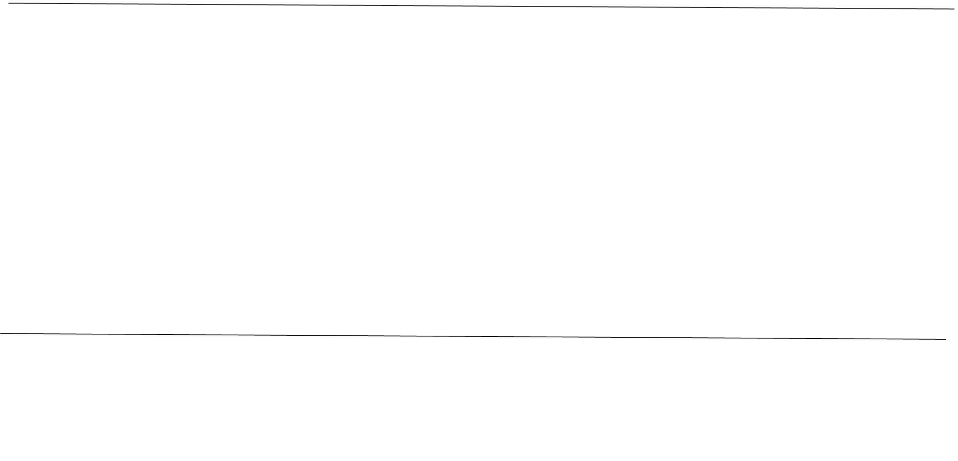 Mostly blank white page with a thin gray horizontal line near the top and another near the middle-left
