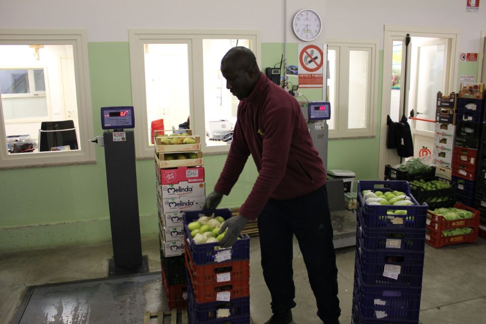 impiegato azienda mentre sistema alcune cassette di frutta e verdura