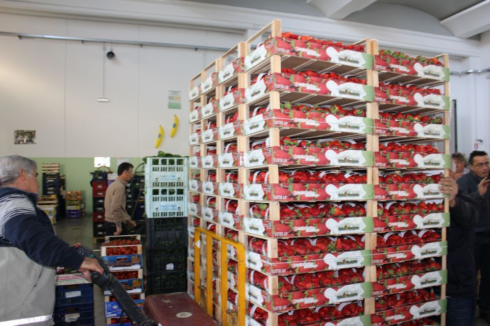 cassette in pila di frutta