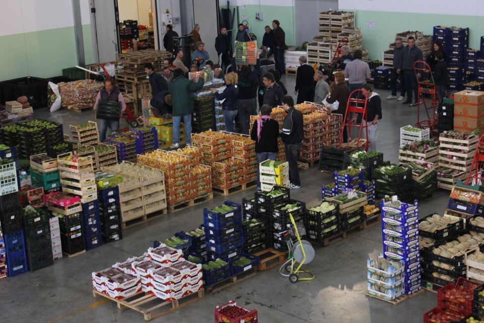 magazzino con frutta e verdura