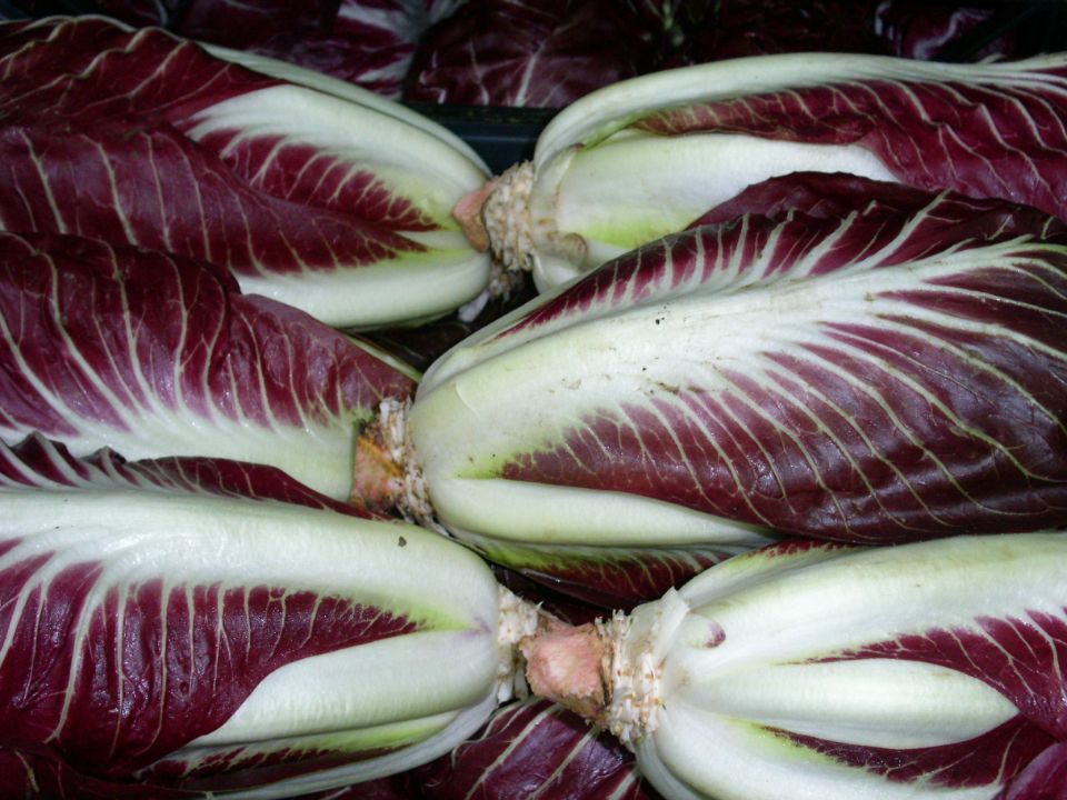 cassetta di radicchio