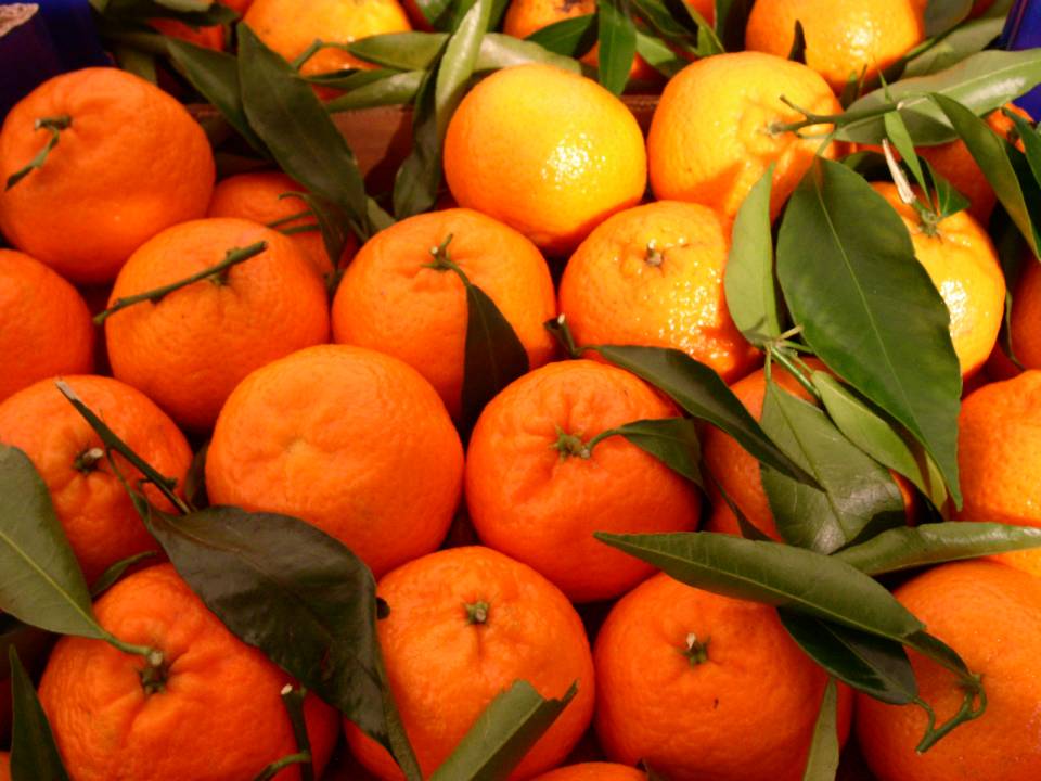 mandarini