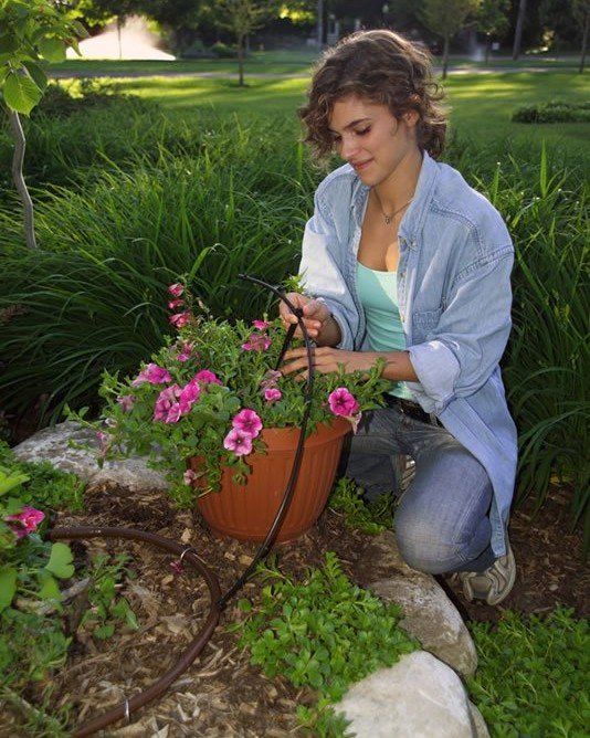 Using Drip Irrigation for Flowers and Plants
