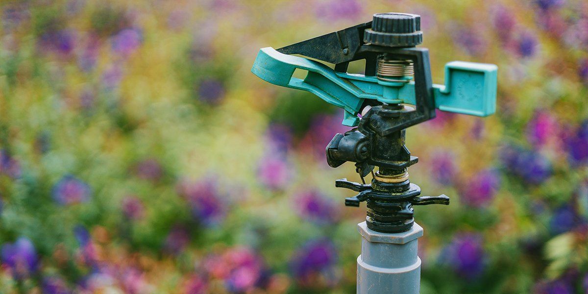 Summer Lawn Care Tips