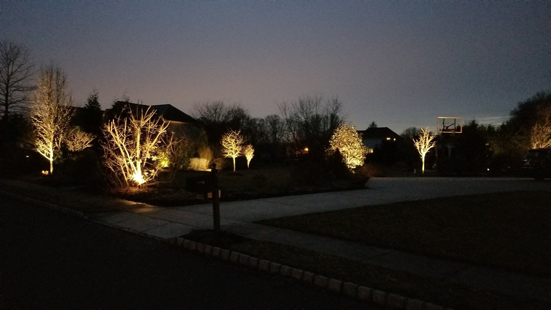 landscaping