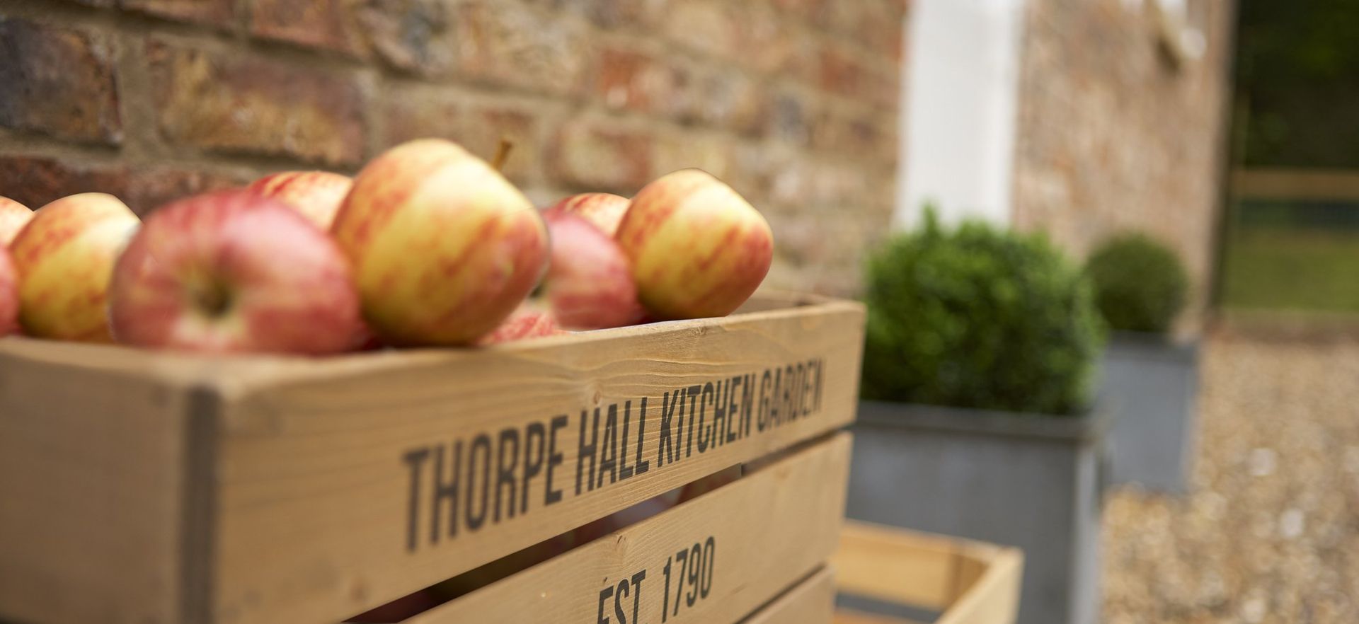 Apples in a wooden crate with text, next to greenery and a brick wall.