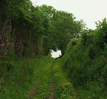 Path
