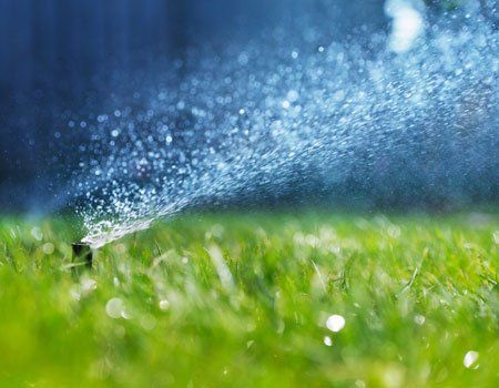 Sprinkler Head - sprinkler systems in Teaticket, MA