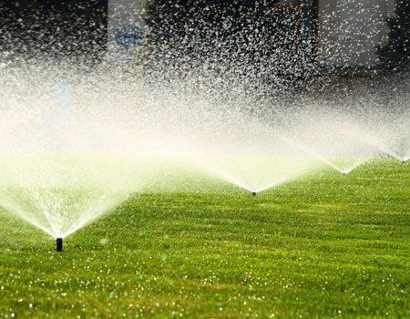 Garden Sprinkler On The Green Lawn - irrigation company in Teaticket, MA
