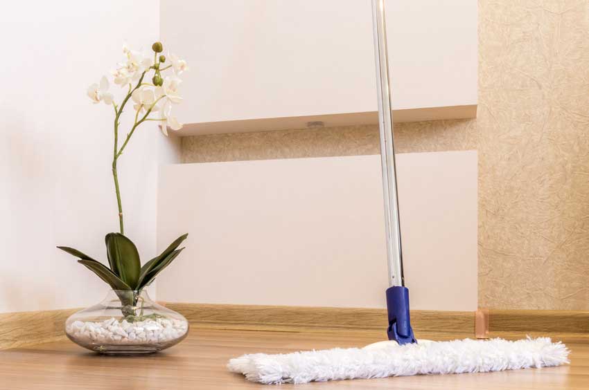 Domestic Cleaning