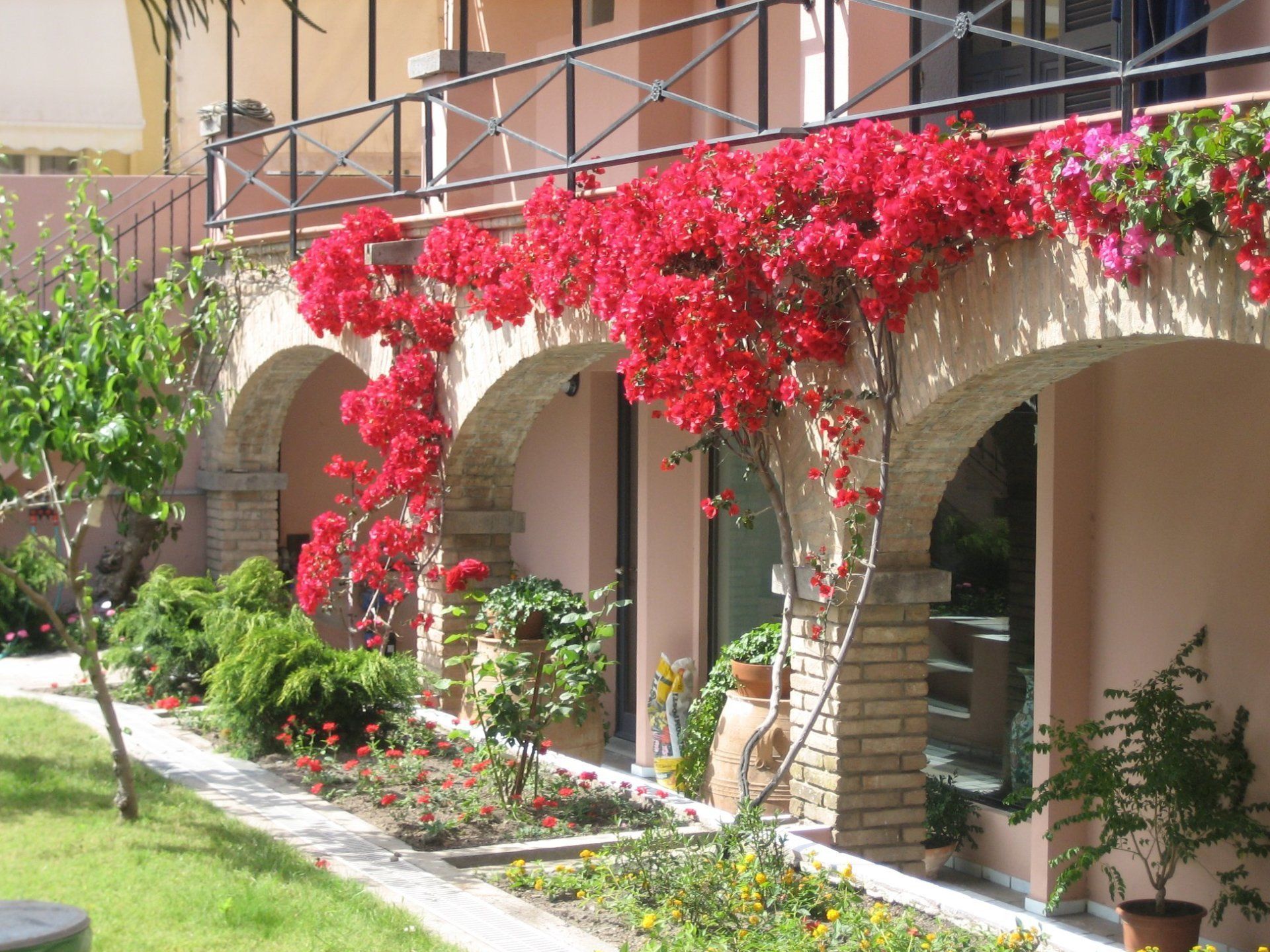 esterni con rose rampicanti