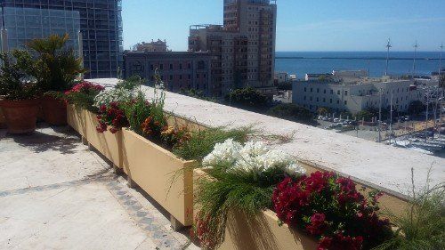 progettazione di verde nei terrazzi