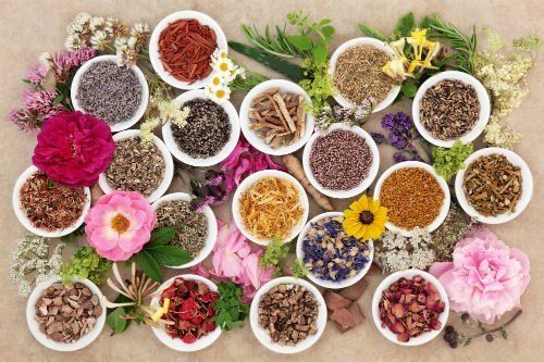 Erbe officinali