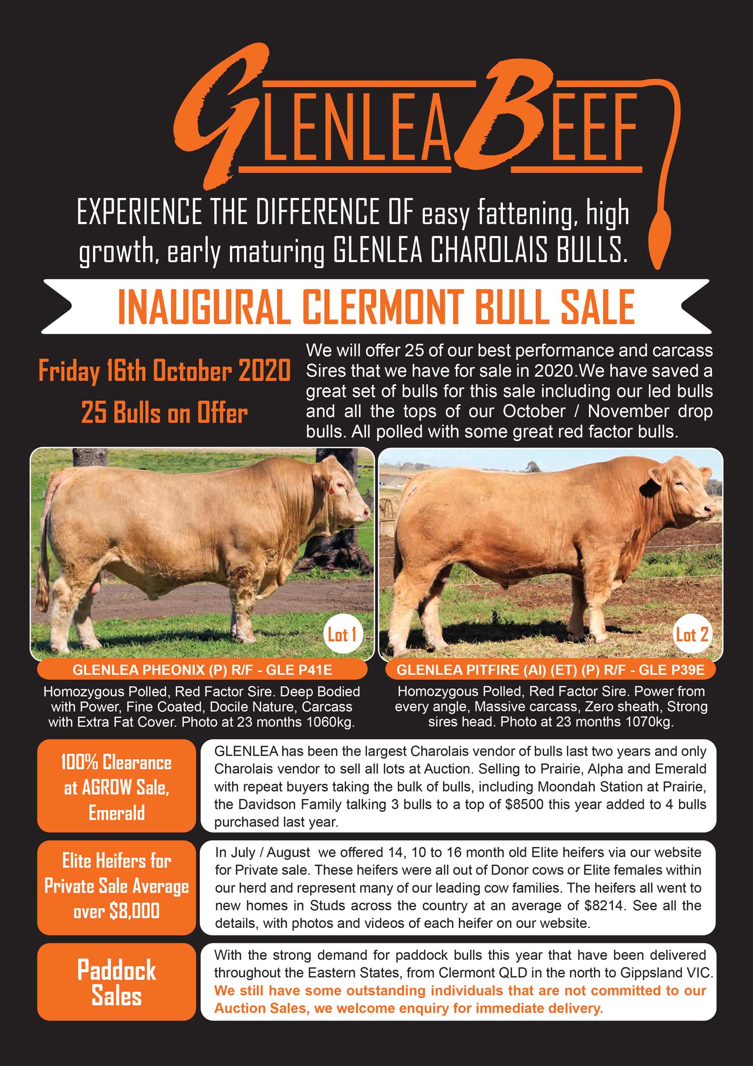 female sale cover