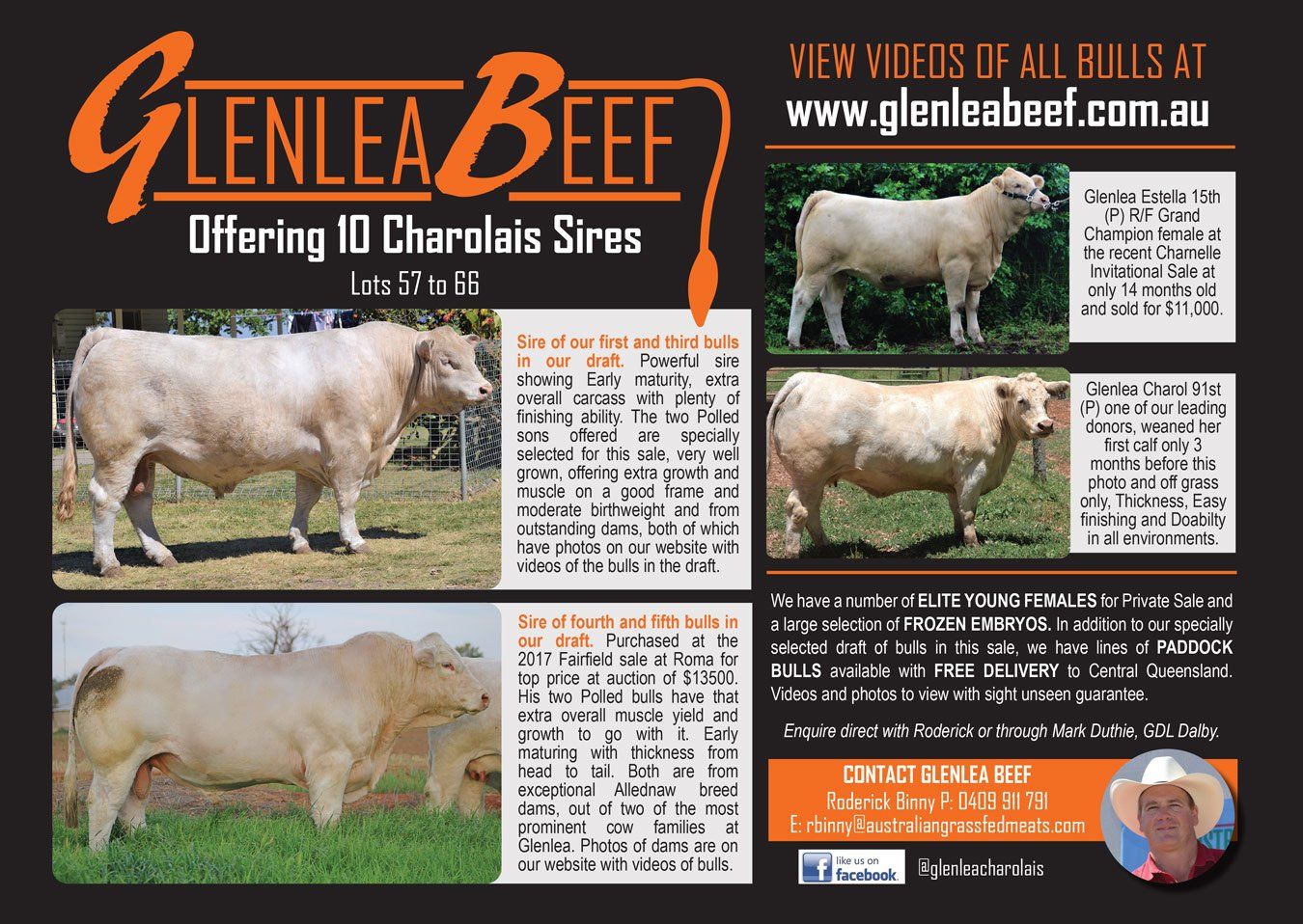 Glenlea Beef