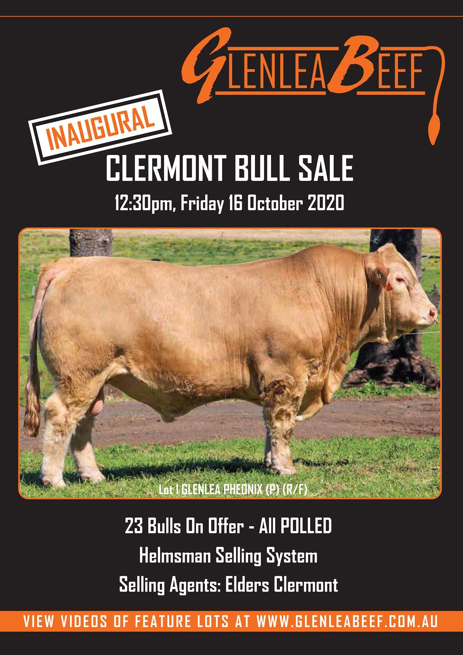 female sale cover