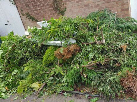 garden waste