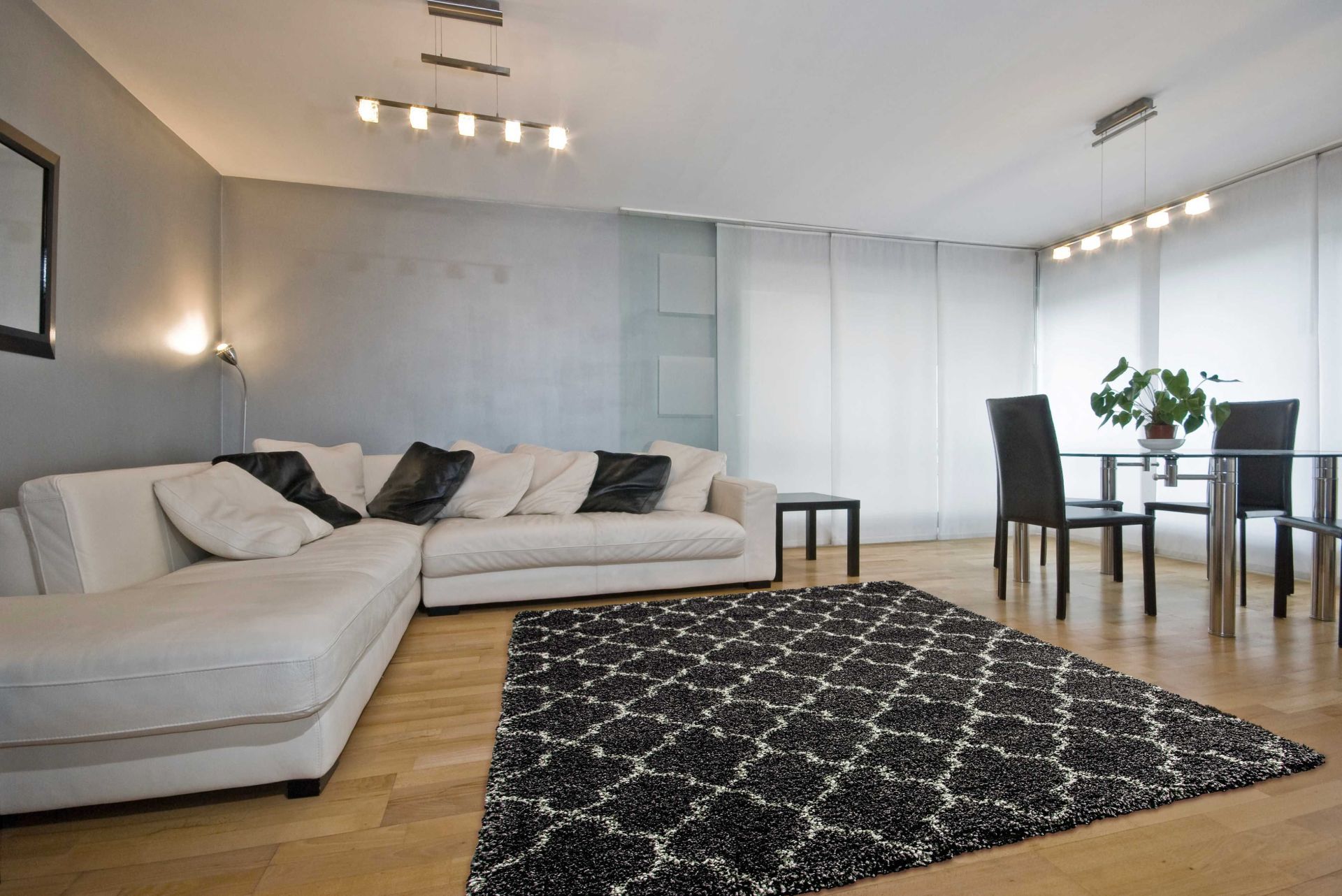 Black & Beige Area Rug