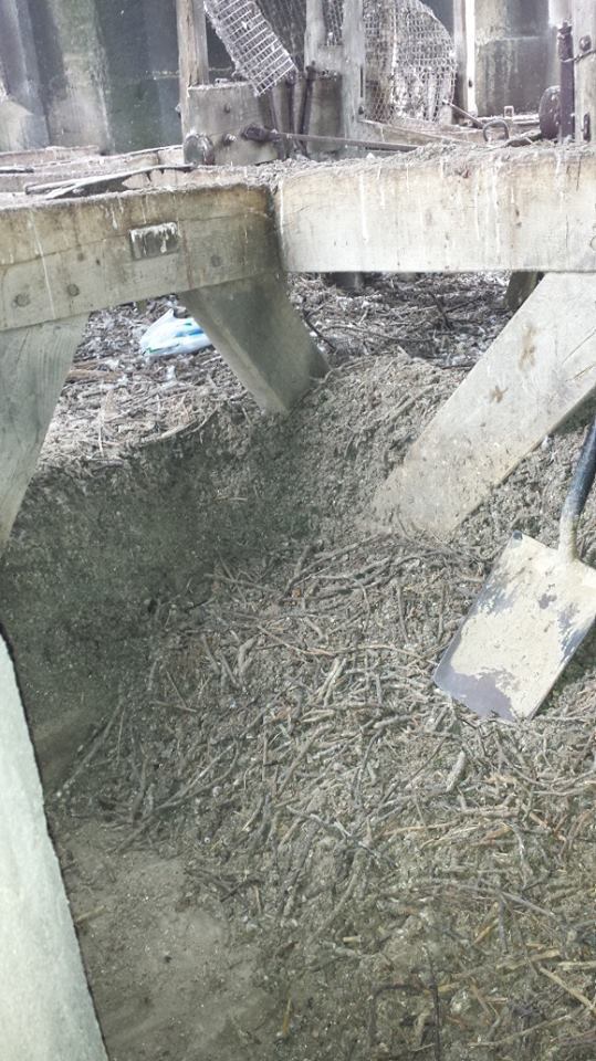 Nesting Materials in the Bell Housing